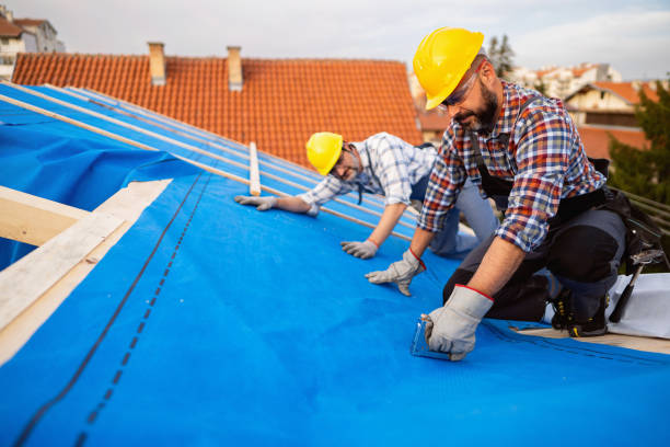 Roof Gutter Cleaning in Whitley City, KY